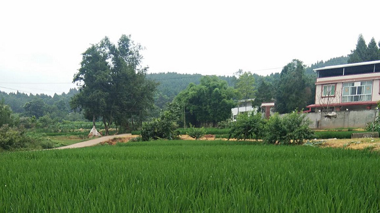 光銘防輻射工程帶你走入新農(nóng)村、走進(jìn)大自然